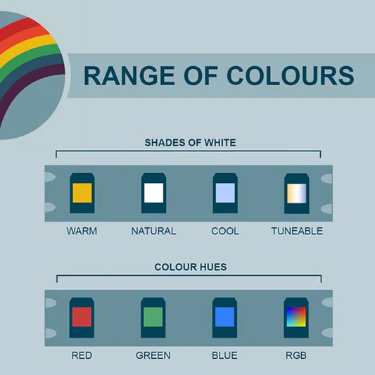 WHY CHOOSE LED?