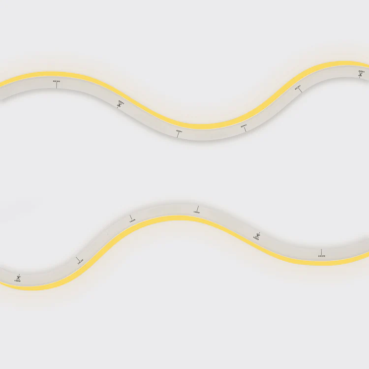 Neon Arc | White