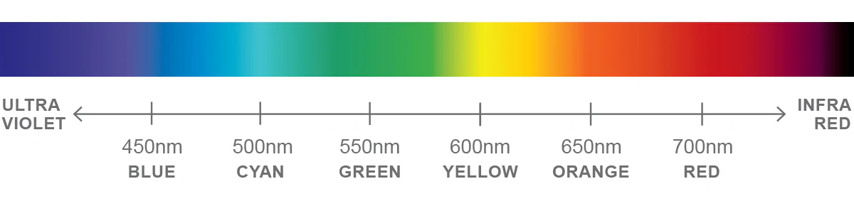 Visible Spectrum