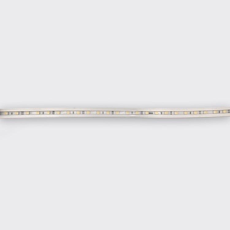 Daisy 3D Grazer
