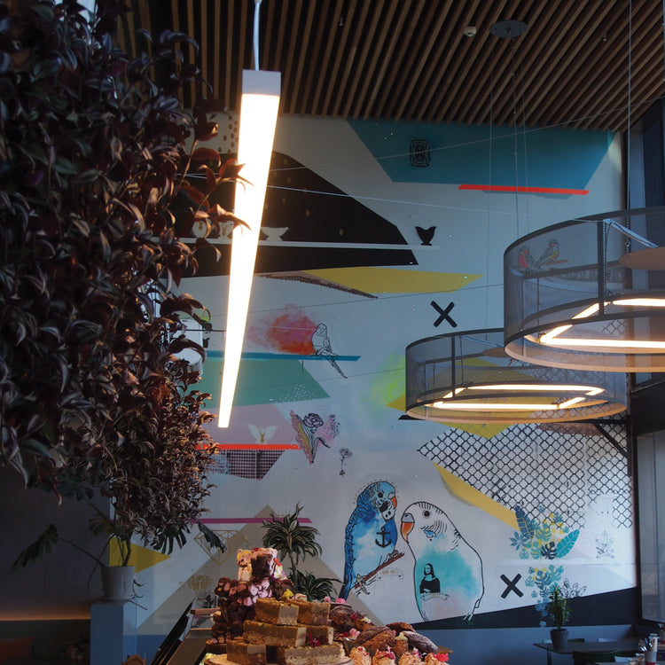 HIGHLINE 01