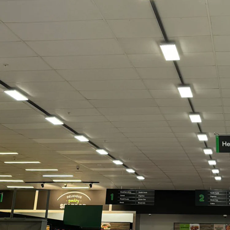 Everest Panel Track Light